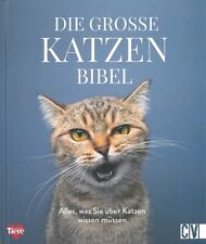 Die grosse Katzenbibel alles was Sie über Katzen wissen müssen Handbuch/Ratgeber