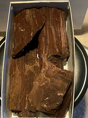 Versteinertes holz feenholz - versteinertes,