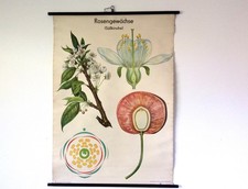 Lehrtafel Schulwandkarte