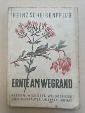 Ernte am Wegrand Heinz Scheibenpflug Beeren Wildobst Wildgemüse um 1930
