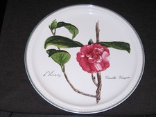 Jahres- Sammelteller Villeroy & Boch 1990, Camellia Variegata von Nicolas Liez