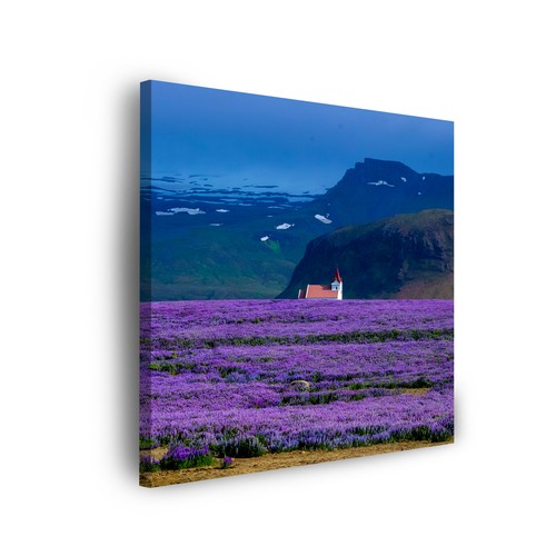 Leinwand bilder natur - leinwand-bilder,