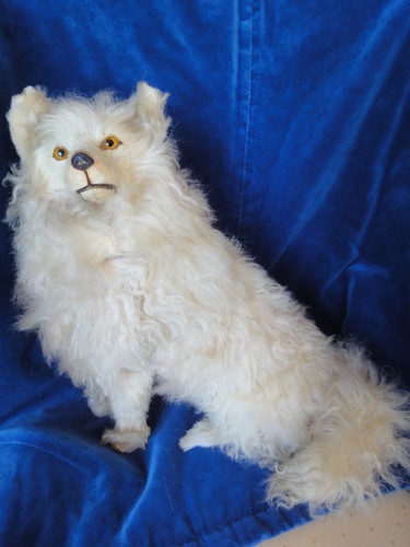 Antiker spitz hund loulou - antiker,