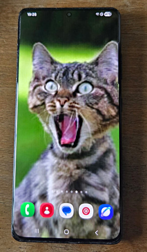 Samsung galaxy s21 - galaxy,