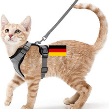 Katzengeschirr mit Leine