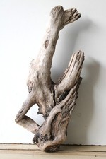 Treibholz Schwemmholz