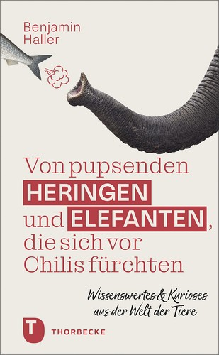 Benjamin haller von - benjamin, /