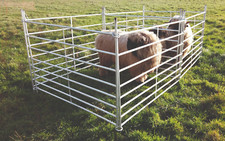 Weidepanel Steckfixhorde Schafpanel Set Schafgatter Pferch 110 cm höhe