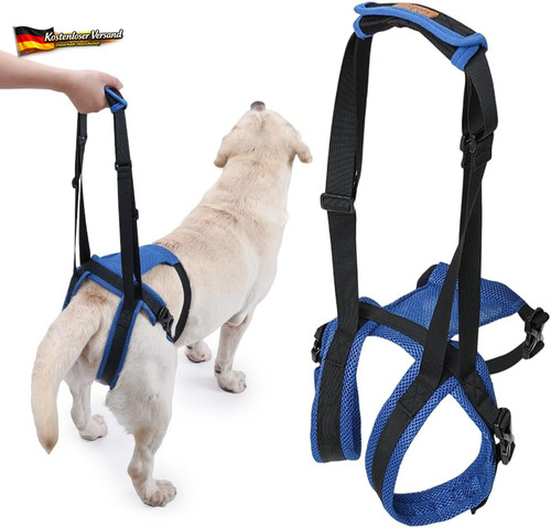 Tragegurt hund mit griff - hund,