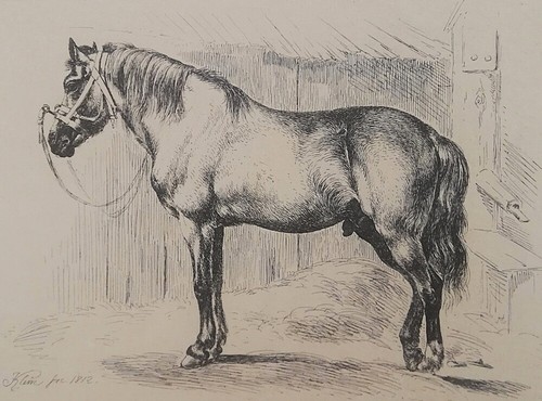 Johann adam klein das - klein,,