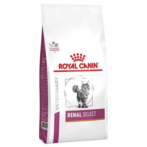 Royal canin cat - royal,