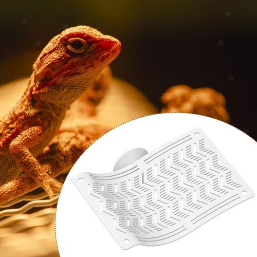 Hängematte für reptilien - hängematte,