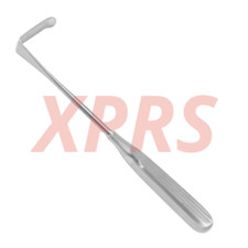Sauerbruch Retractor, 9"