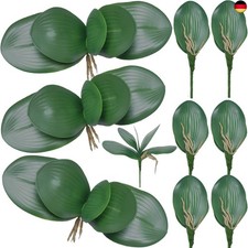 FagusHome 10 Stück künstliche Phalaenopsis Orchideenblätter 11 Zoll grünes kün