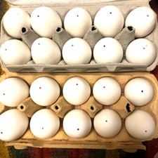 20 ausgeblasene weiße