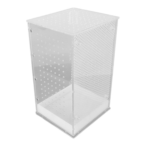 Reptilien terrarium aus - reptilien-terrarium,