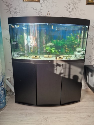 Juwel aquarium 260 mit - 260,