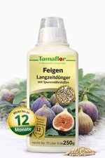 Feigendünger  Ficus