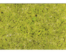 5x 4er-Pack Natürliches Moos transparenter Selbstklebefolie DIN A4 Folie