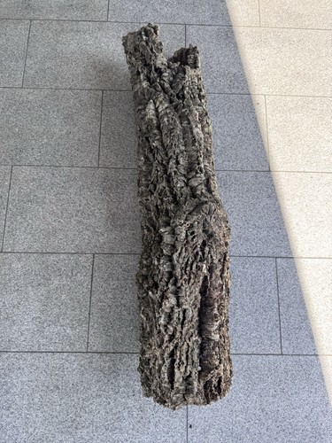 Xxl kork röhre natur - kork,