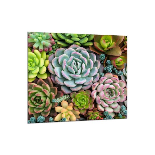 Küchenrückwand glas 65x60 - küchenrückwand,