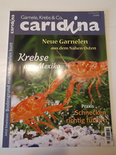CARIDINA Garnele, Krebs & Co 2/2020 Heft Zeitschrift Magazin