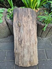 Riesige Schale Höhle Stamm Holz  Baum Deko Unikat 44 x 19 x 9 cm Lampe