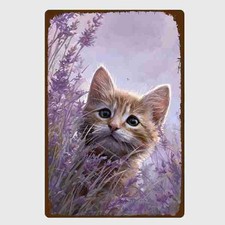 Blechschild Katze Kitten im