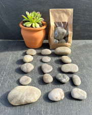 800 g Fluss Steine Flusskiesel Dekosteine poliert 20-80mm bemalen basteln grau