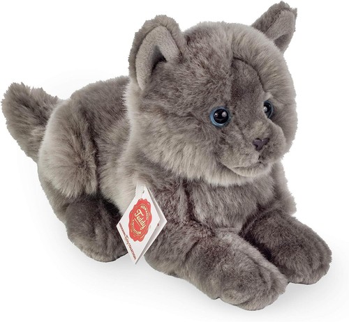 Teddy hermann kartäuser katze - teddy,