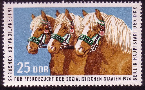 1971 pferdezucht haflinger - 1971,