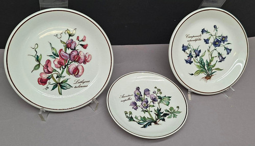 Teller villeroy boch - villeroy,