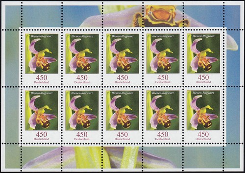 3191 blumen 450 cent - blumen,