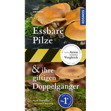 Essbare Pilze und ihre