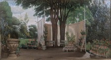 Garten mit Topfpflanzen, um