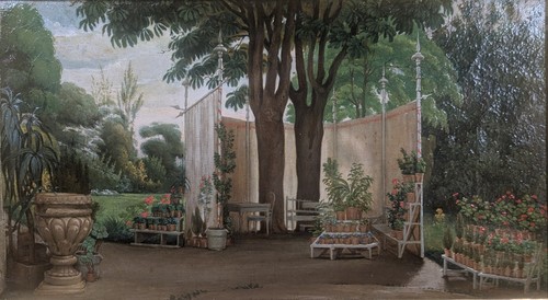Garten mit topfpflanzen - garten, um