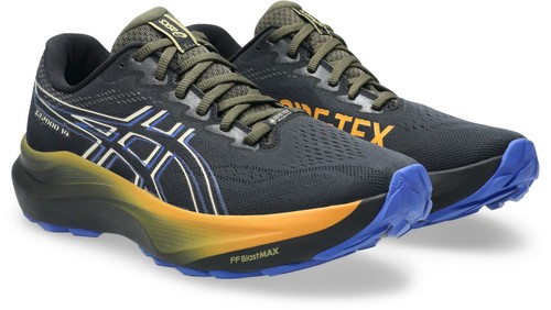 Asics 2000 gore - gt-2000, 14