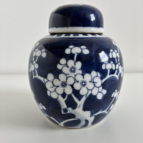 Chinesischer ingwertopf prunus - chinesischer,