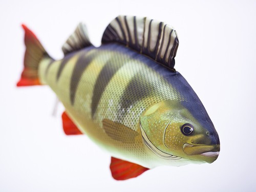 Fisch kissen geschenk angler - fisch,