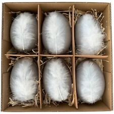 6 er Set  Große Gänseei