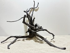 Schwarze Moorwurzel XL