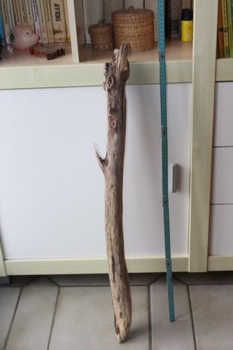 Dicker treibholz stock - #,