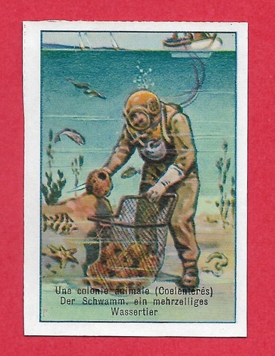 Poster stempel swiss - poster,