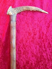 schöner, sehr alter Spazierstock , Gehstock , Holz mit Reh- Bockhorn - Griff