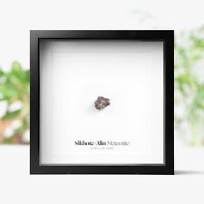 Sikhote-Alin Meteorit Real
