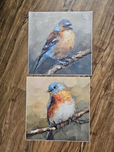 Vogel bilder drucke buchfink - vogel,