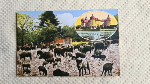 Alte jagdschloss - alte,