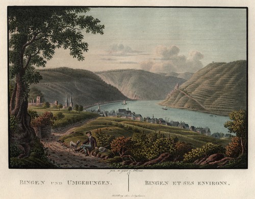 Bingen gesamtansicht original - bingen,