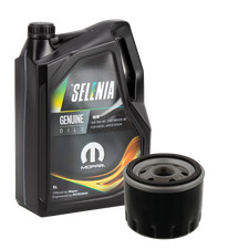 5L Original Petronas Selenia
