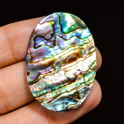 Cts natürliches abalone - 50.00,
